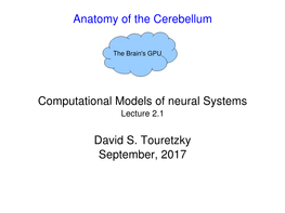 Anatomy of the Cerebellum Computational Models of Neural