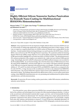 Highly Efficient Silicon Nanowire Surface Passivation by Bismuth