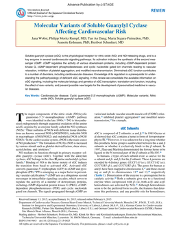 Molecular Variants of Soluble Guanylyl Cyclase Affecting