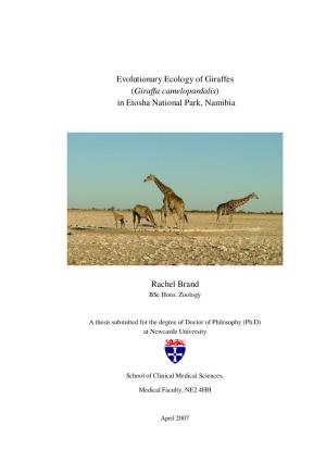 Evolutionary Ecology of Giraffes (Giraffa Camelopardalis)