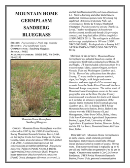 Mountain Home Germplasm Sandberg Bluegrass (Selected Germplasm, Natural U.S