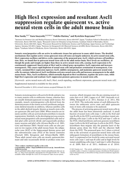 High Hes1 Expression and Resultant Ascl1 Suppression Regulate Quiescent Vs