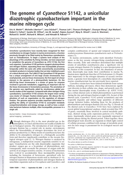 The Genome of Cyanothece 51142, a Unicellular Diazotrophic Cyanobacterium Important in the Marine Nitrogen Cycle