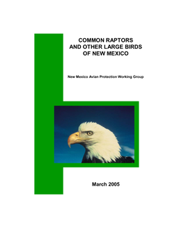 Common Raptors and Other Large Birds of New Mexico