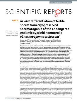 In Vitro Differentiation of Fertile Sperm from Cryopreserved