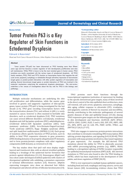Tumor Protein P63 Is a Key Regulator of Skin Functions in Ectodermal Dysplasia