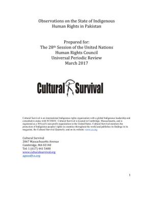 Observations on the State of Indigenous Human Rights in Pakistan