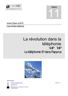 La Révolution Dans La Téléphonie Voip Toip Latéléphonieipdanspapyrus