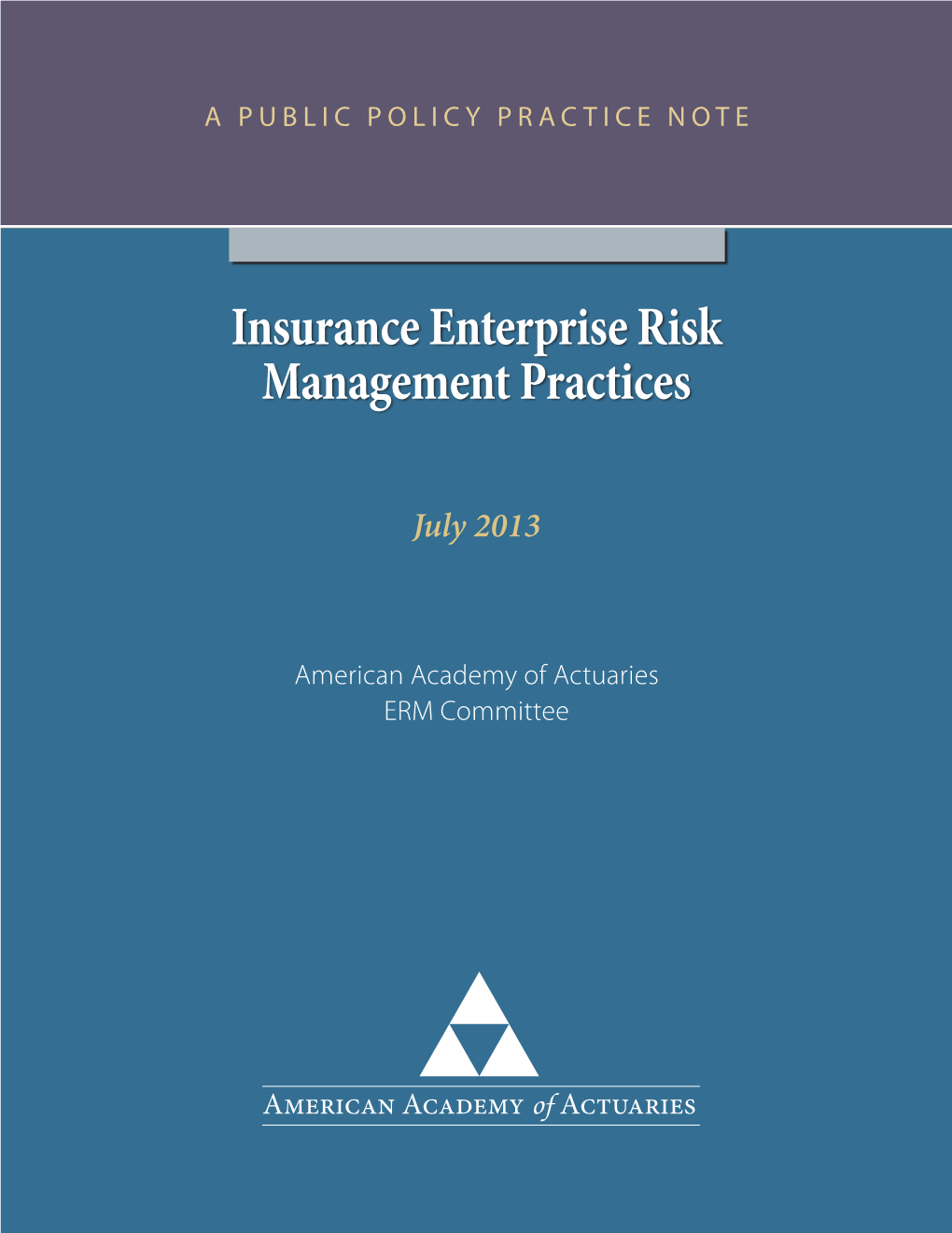 Insurance Enterprise Risk Management Practice Note