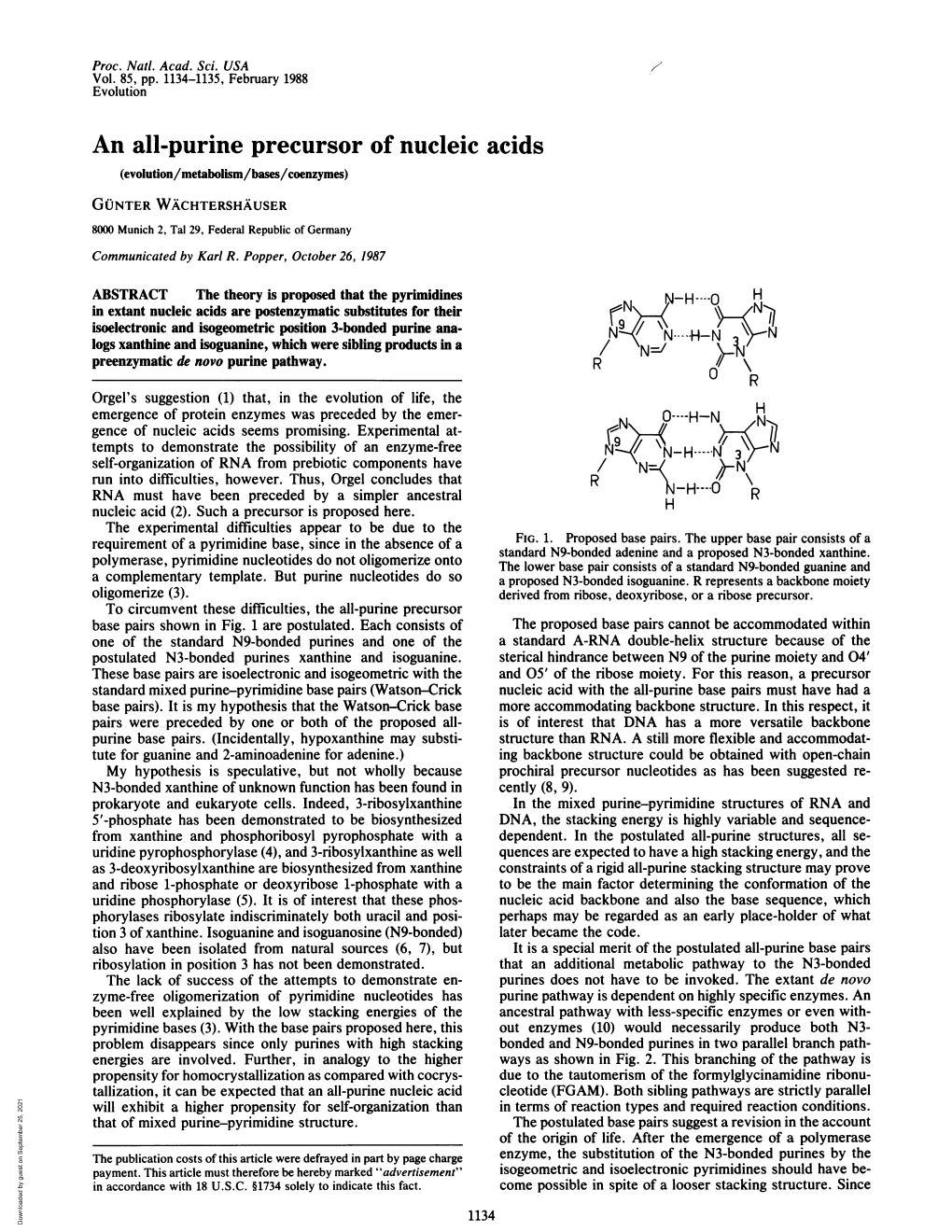 An All-Purine Precursor of Nucleic Acids