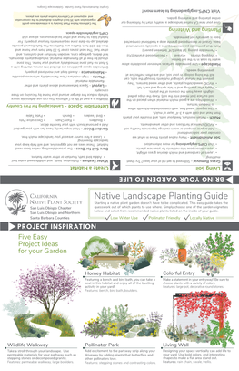 Native Landscape Planting Guide Starting a Native Plant Garden Doesn’T Have to Be Complicated