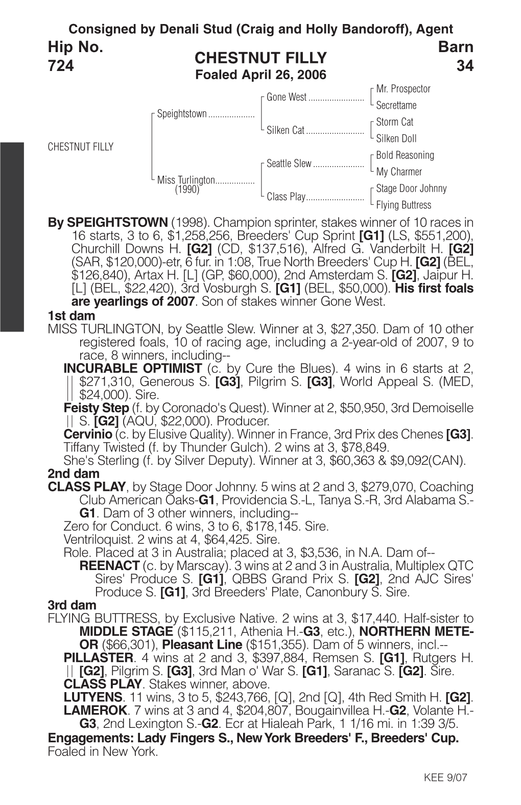 CHESTNUT FILLY Barn 34 Hip No