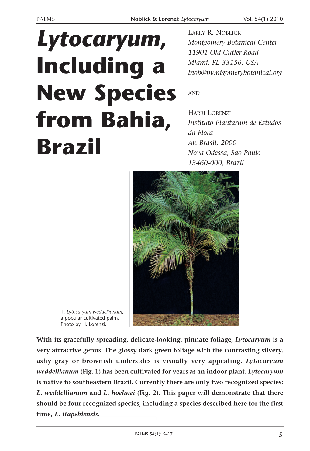 Lytocaryum, Including a New Species from Bahia, Brazil