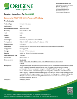 Eph Receptor A4 (EPHA4) Rabbit Polyclonal Antibody Product Data