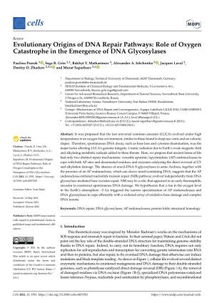 Evolutionary Origins of DNA Repair Pathways: Role of Oxygen Catastrophe in the Emergence of DNA Glycosylases