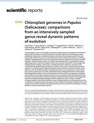 Chloroplast Genomes in Populus (Salicaceae)