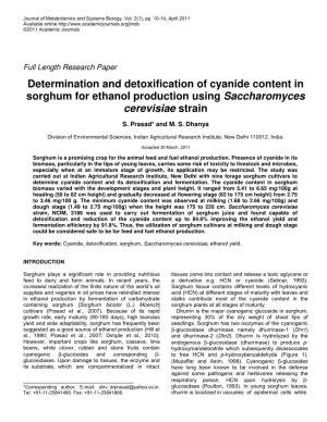 Determination and Detoxification of Cyanide Content in Sorghum for Ethanol Production Using Saccharomyces Cerevisiae Strain