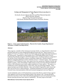 Ecology and Management of Tansy Ragwort (Senecio Jacobaea
