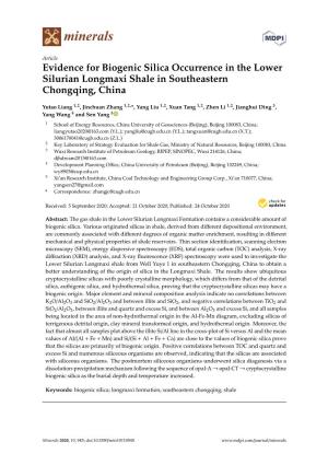 Evidence for Biogenic Silica Occurrence in the Lower Silurian Longmaxi Shale in Southeastern Chongqing, China