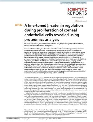 A Fine-Tuned Β-Catenin Regulation During Proliferation of Corneal