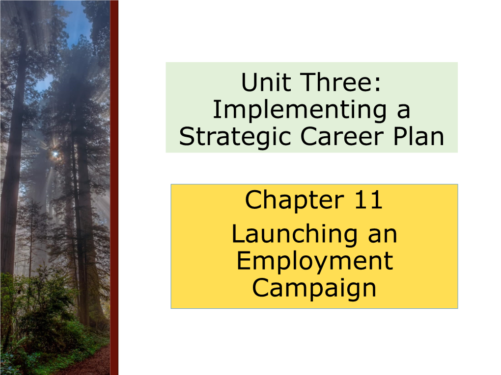 Unit Three: Implementing a Strategic Career Plan Chapter 11 Launching