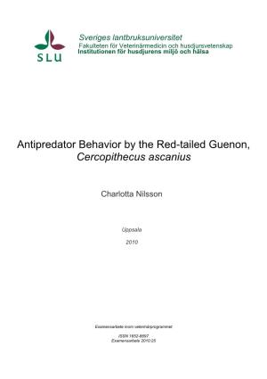 Antipredator Behavior by the Red-Tailed Guenon, Cercopithecus Ascanius