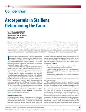 Azoospermia in Stallions: Determining the Cause