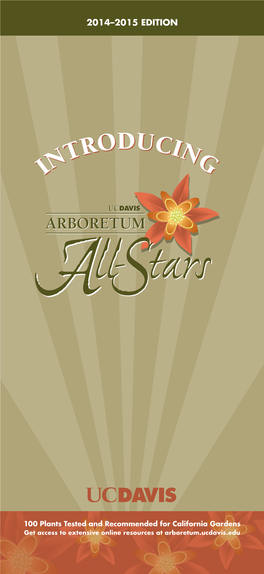 All-Stars Brochure