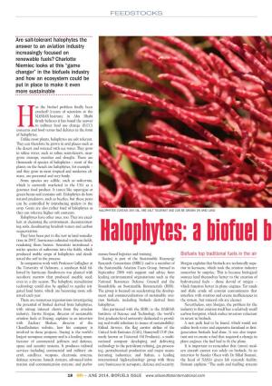 Halophytes.Pdf