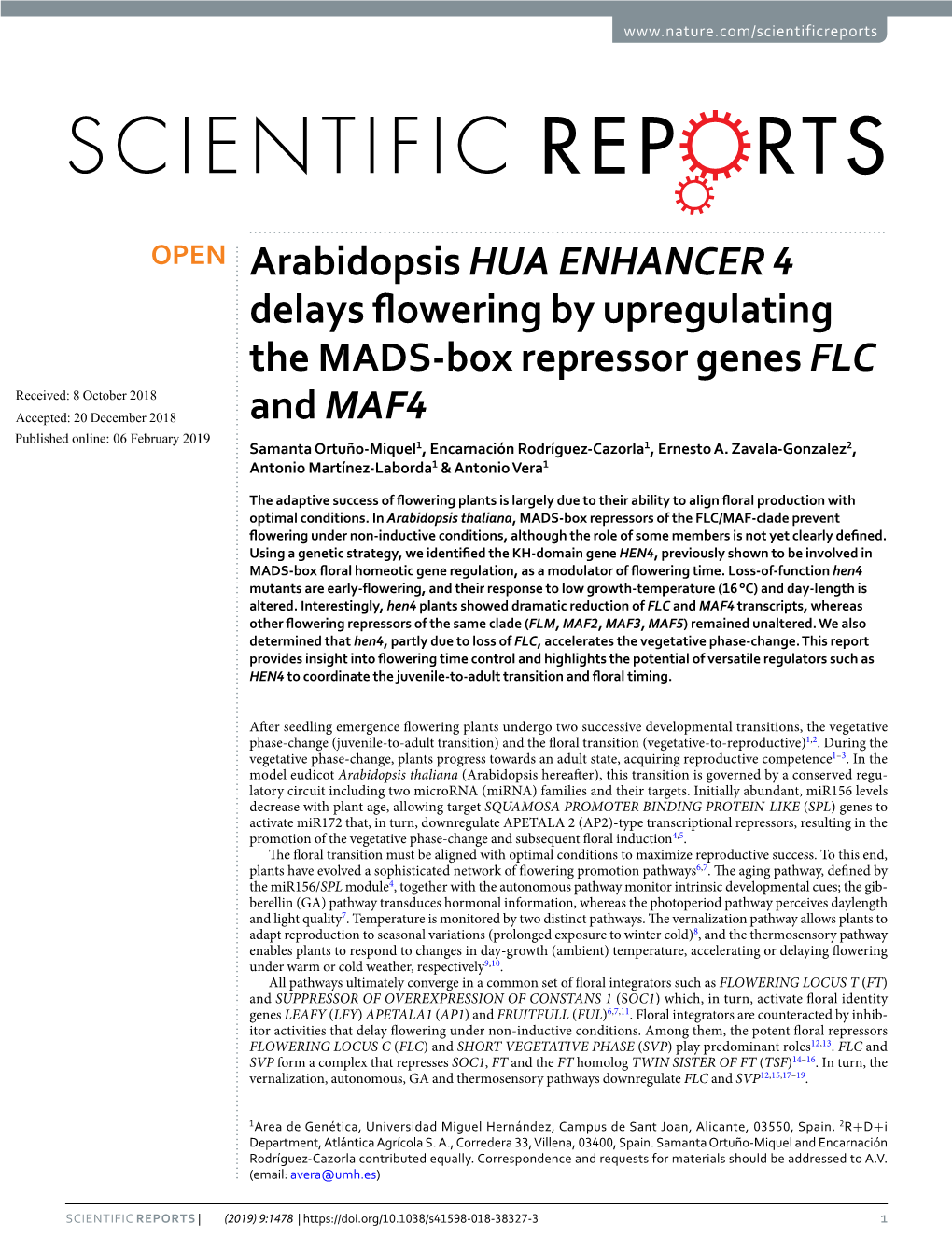 Arabidopsis HUA ENHANCER 4 Delays Flowering by Upregulating