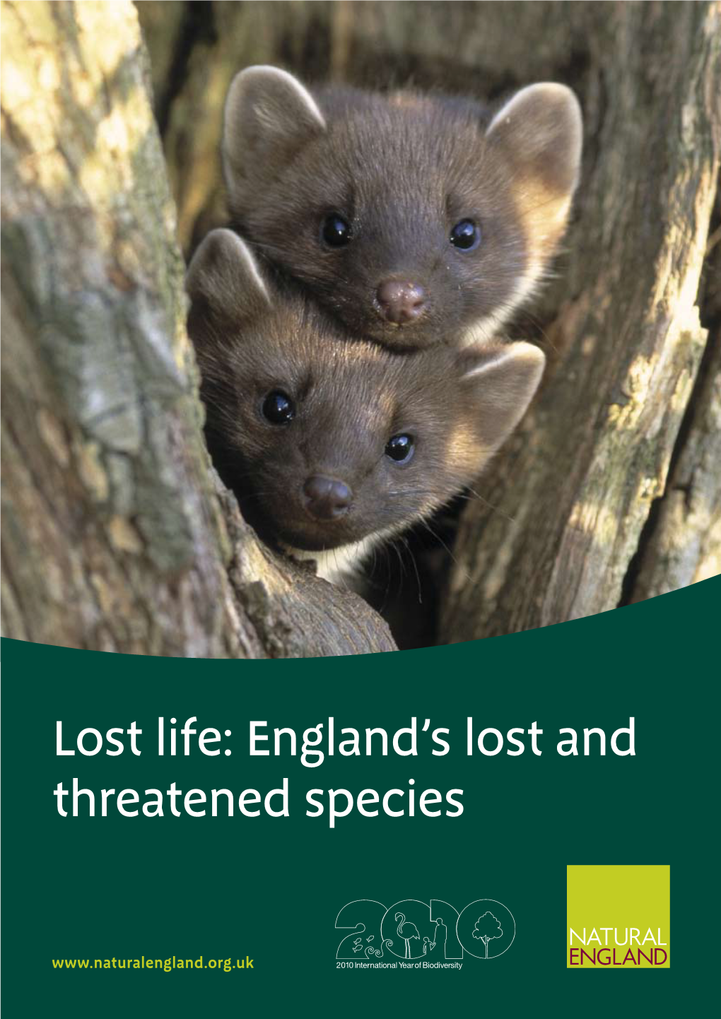 Lost Life: England's Lost and Threatened Species