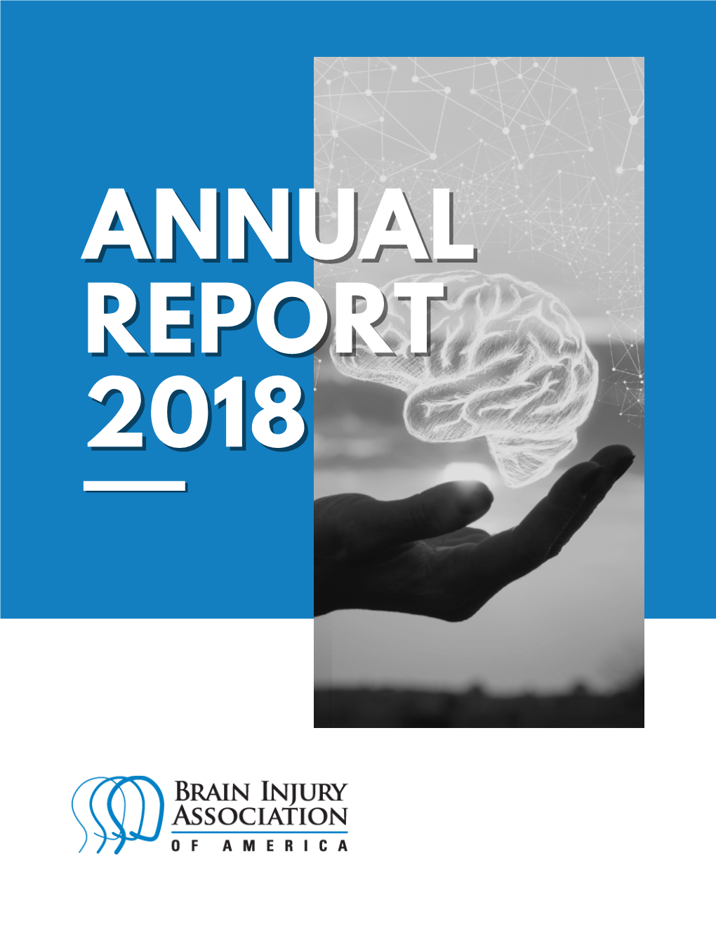 2018 Annual Report Page 1 a Message from the President/CEO