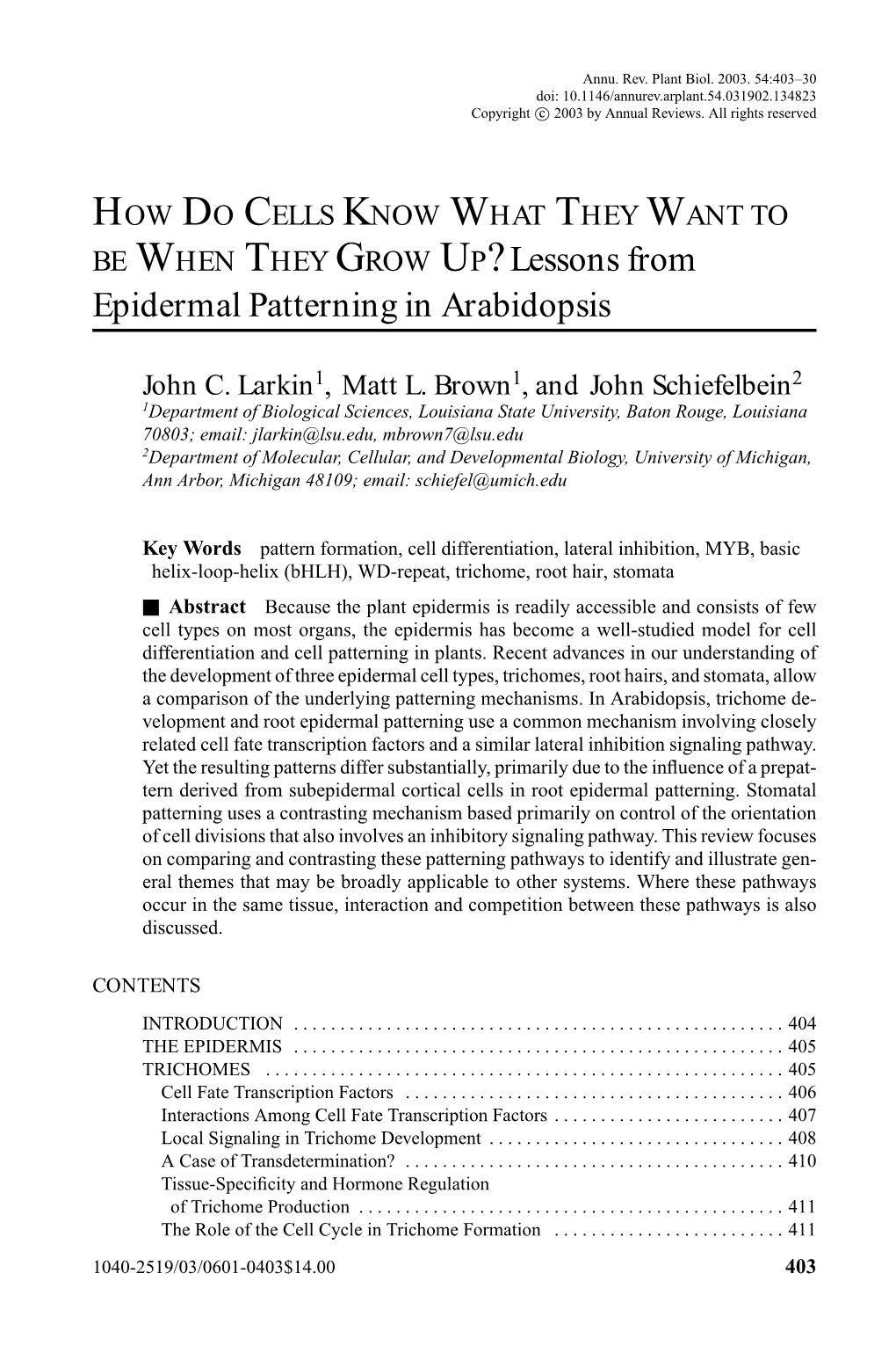 Lessons from Epidermal Patterning in Arabidopsis