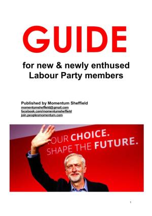 For New & Newly Enthused Labour Party Members