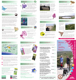 Stanmer & Ditchling Beacon Leaflet