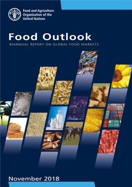 Food Outlook BIANNUAL REPORT on GLOBAL FOOD MARKETS