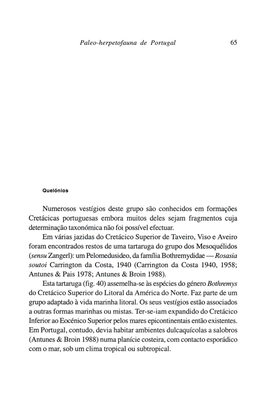 Paleo-Herpetofauna De Portugal Numerosos Vestígios Deste Grupo