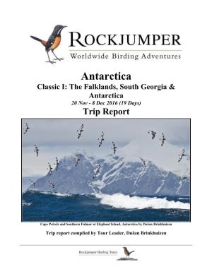 Antarctica Classic I: the Falklands, South Georgia & Antarctica 20 Nov - 8 Dec 2016 (19 Days) Trip Report