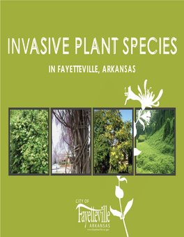 Asive Plant Species in Fayetteville, Arkansas