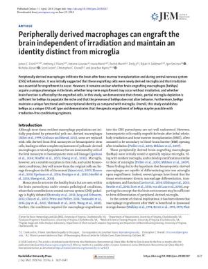 Peripherally Derived Macrophages Can Engraft the Brain Independent of Irradiation and Maintain an Identity Distinct from Microglia