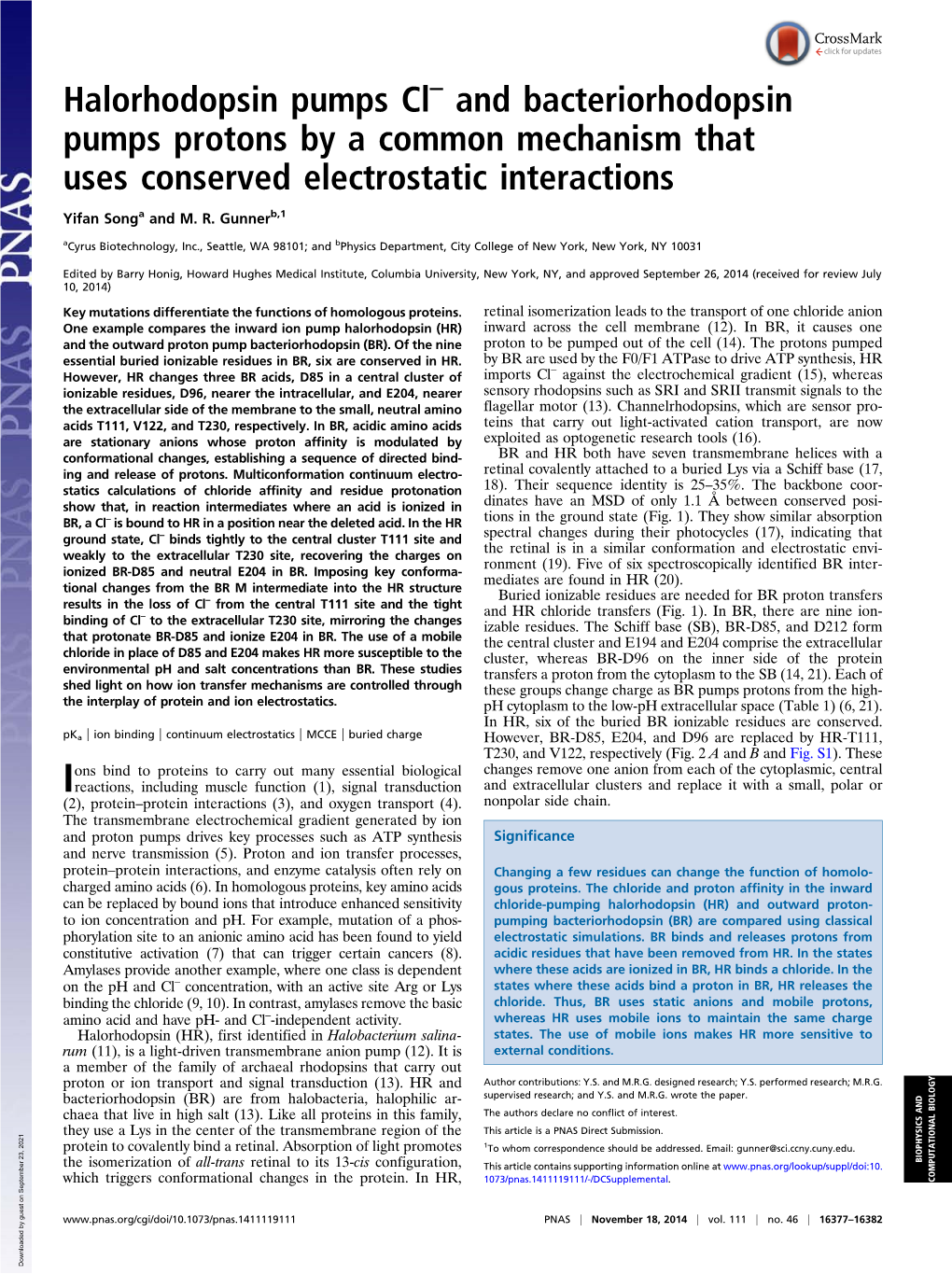 Halorhodopsin Pumps Cl and Bacteriorhodopsin Pumps Protons by a Common Mechanism That Uses Conserved Electrostatic Interactions