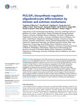 PI(3,5)P2 Biosynthesis Regulates Oligodendrocyte Differentiation By