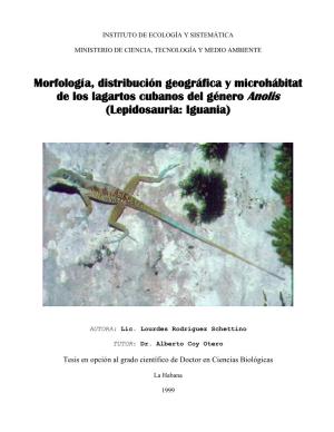 Morfología, Distribución Geográfica Y Microhábitat De Los Lagartos Cubanos Del Género Anolis (Lepidosauria: Iguania)
