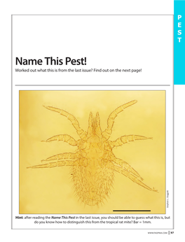 Name This Pest! Worked out What This Is from the Last Issue? Find out on the Next Page! T Stephen L