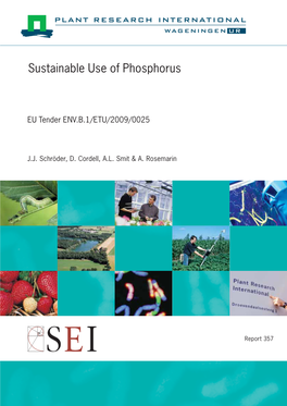 Sustainable Use of Phosphorus