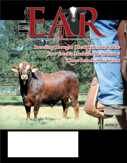 Breeding Drought (Heat) Tolerant Cattle Cow Creek's Mark on The