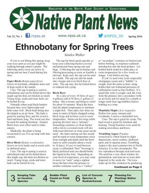 Spring 2016 Ethnobotany for Spring Trees Sandra Walker