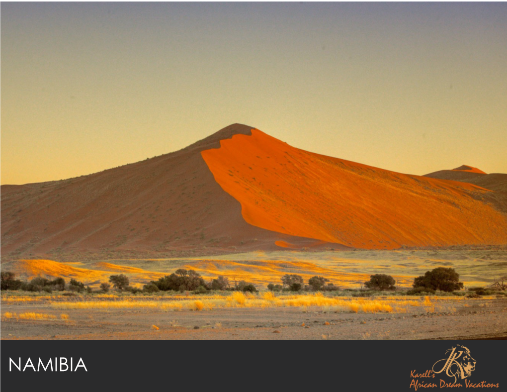 Luxury Namibia Safari Tours and Namibia Safaris Copy