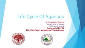 Life Cycle of Agaricus