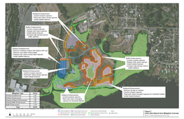 Bridge Replacement and HOV Project Final Wetland Mitigation Report